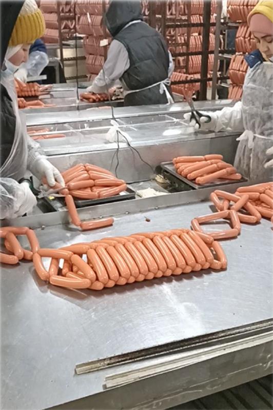 Vietnam Manpower Expands Cooperation to Supply Workforce for High-Tech Agriculture Projects in Russia